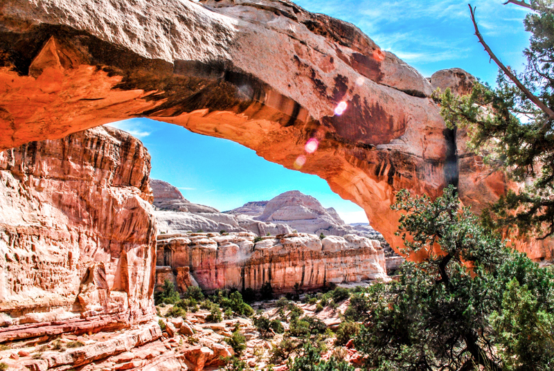 Capitol reef national clearance park hickman bridge