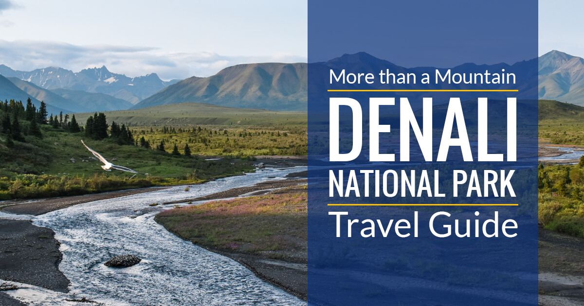 https://whenyouwander.com/wp-content/uploads/2019/08/denali-travel-guide-fb-1200x630.jpg?utm_source=chatgpt.com